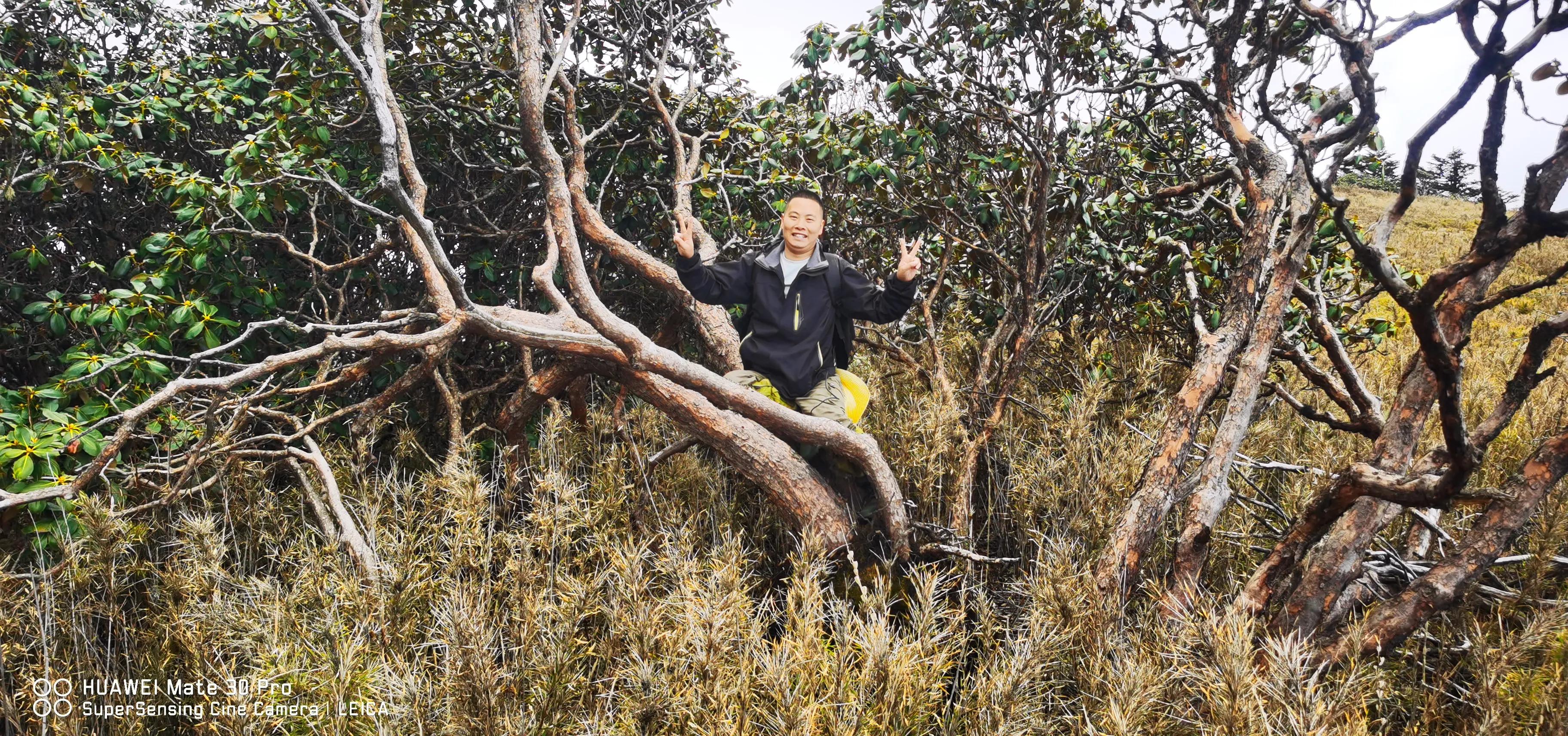 中国百慕大黑竹沟了解一下,中国百慕大黑竹沟近期气温