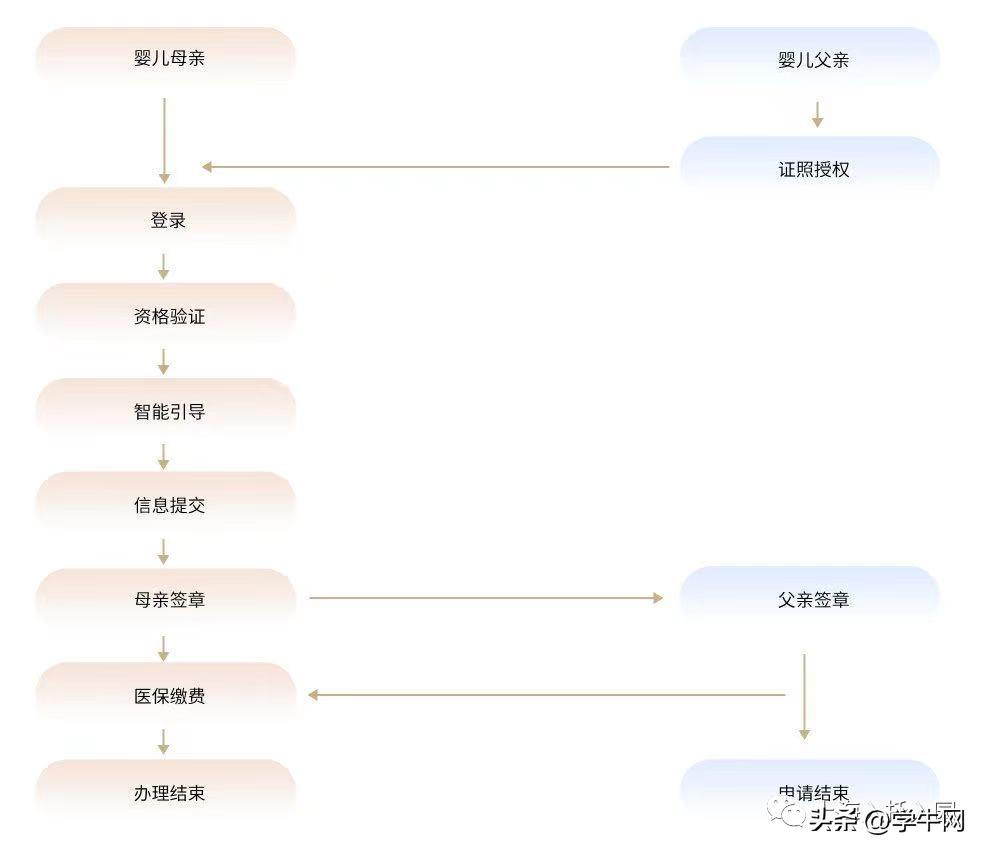 上海松江幼儿园入园需要哪些材料,在上海上幼儿园网上报名流程步骤