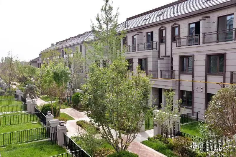 如何让小院活起来,如何让小院变得精致