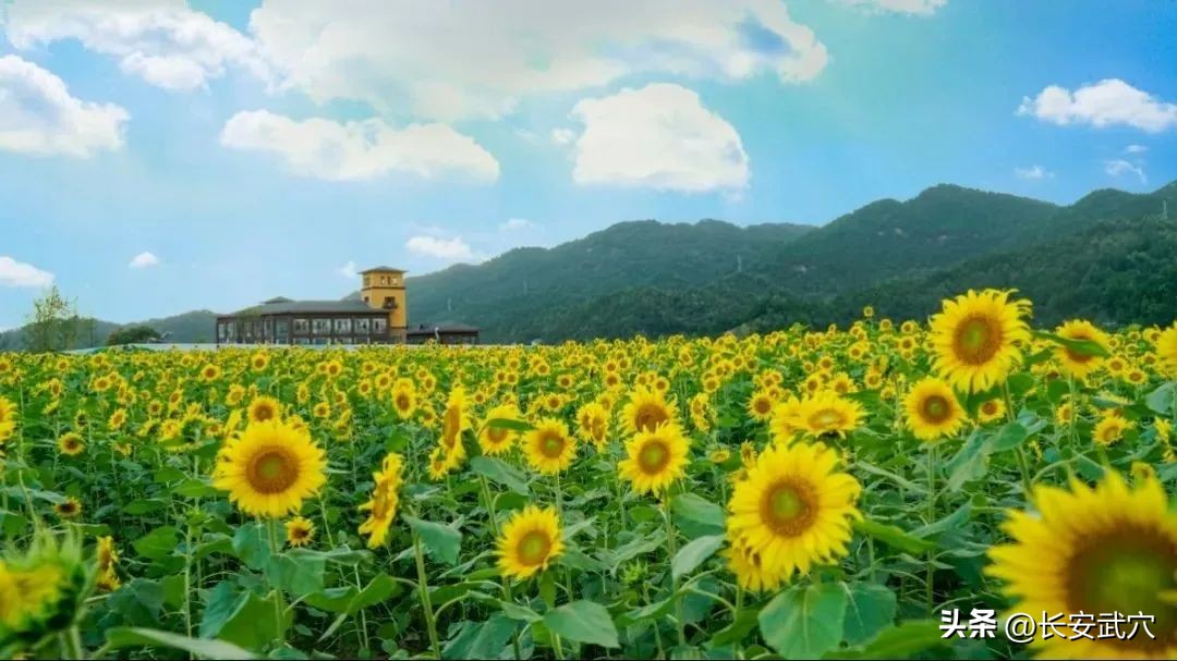 住宿免费券,免费住宿券