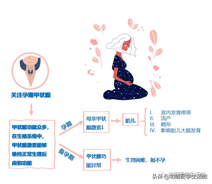 荷尔蒙对于女性有多重要,荷尔蒙对女性到底有多重要