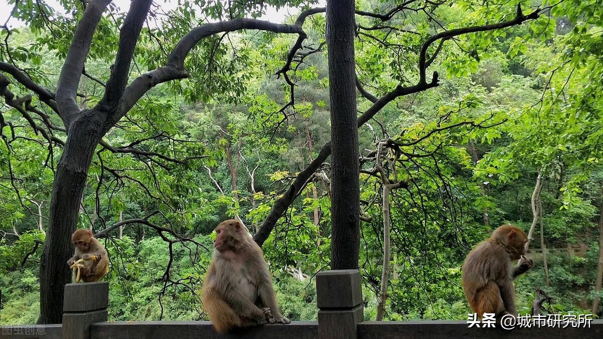 贵阳构建千园之城,千园之城贵阳绝美视频