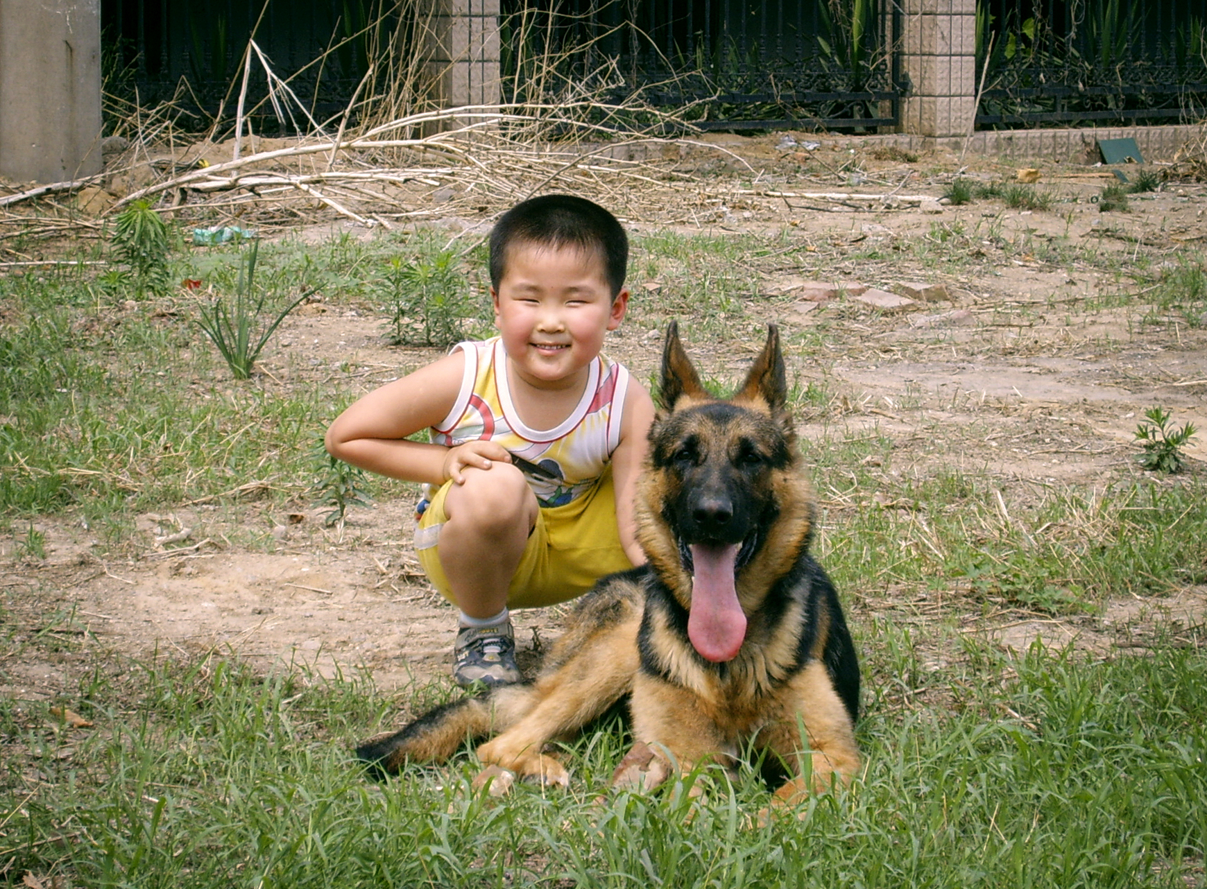 德牧养殖技术书籍大全,德牧饲养攻略