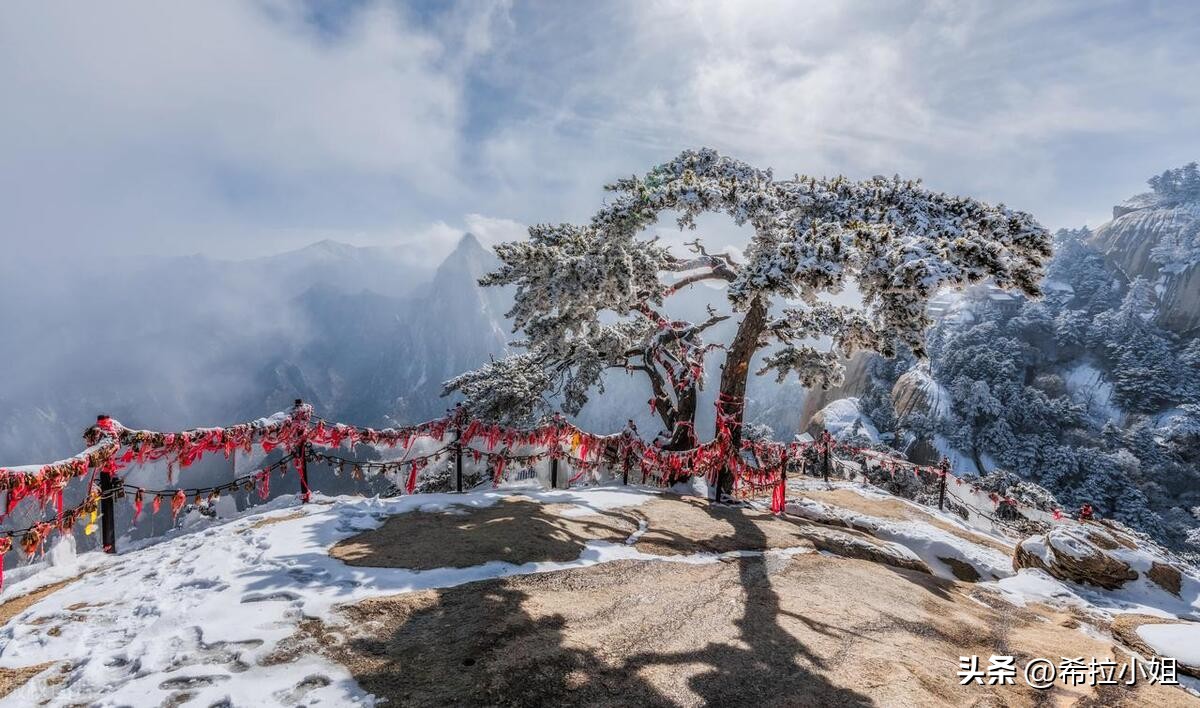 西安华山旅游攻略自由游,延安华山旅游攻略自由行