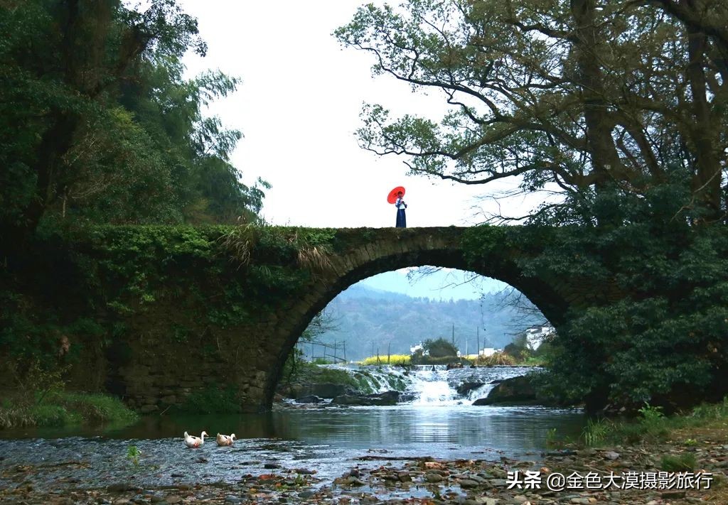 春暖花开婺源篁岭景区,五月婺源的绿意藏不住了