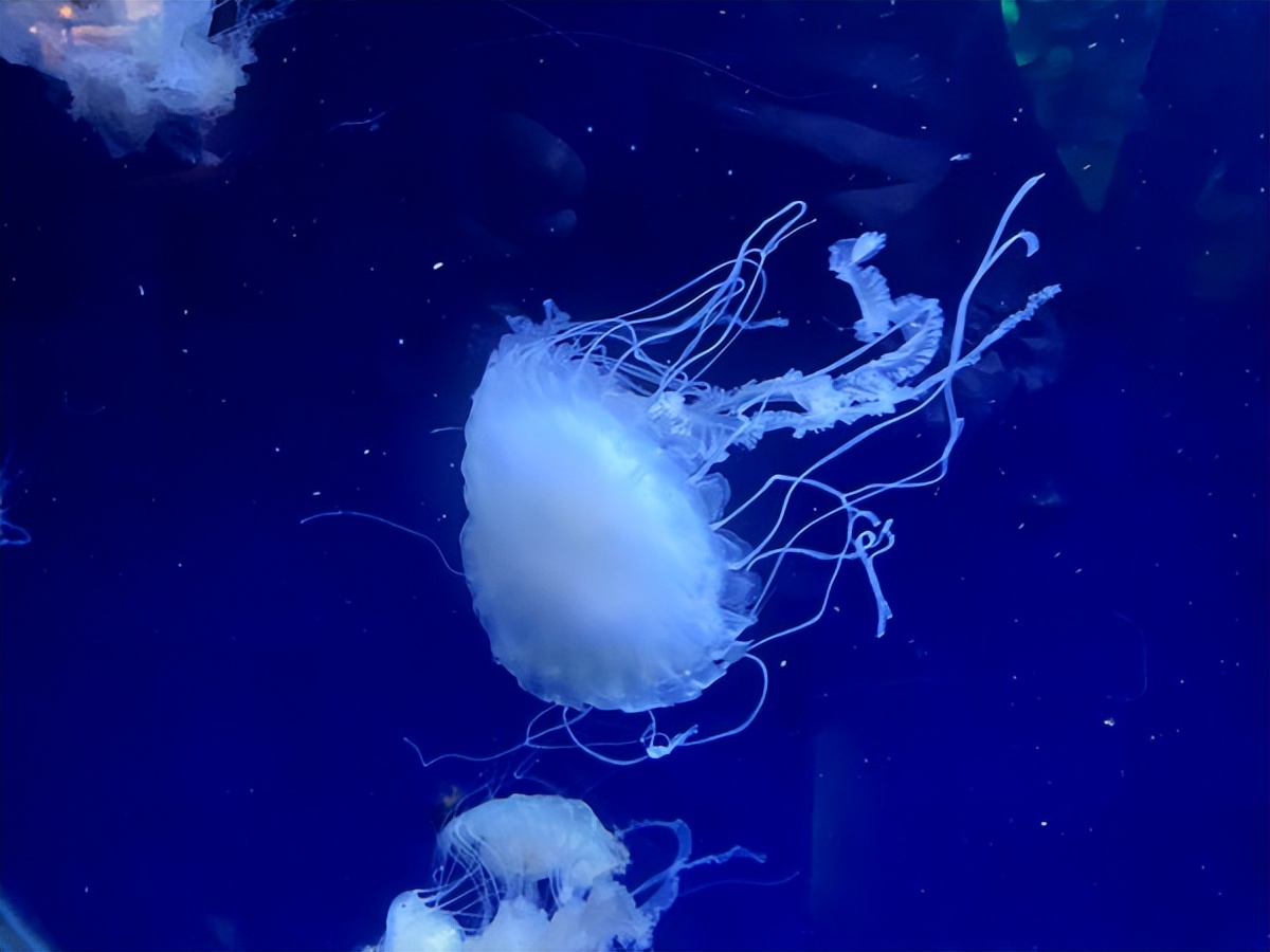 在江苏的“绿林仙海”中，寻找侠气与柔情