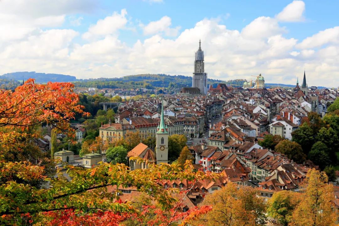 出国做一个厨师需要什么条件,工资高福利好