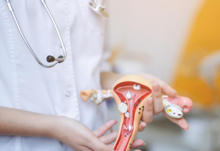 自己流掉的胎儿该怎么处理,做人流手术胎儿是怎么样的