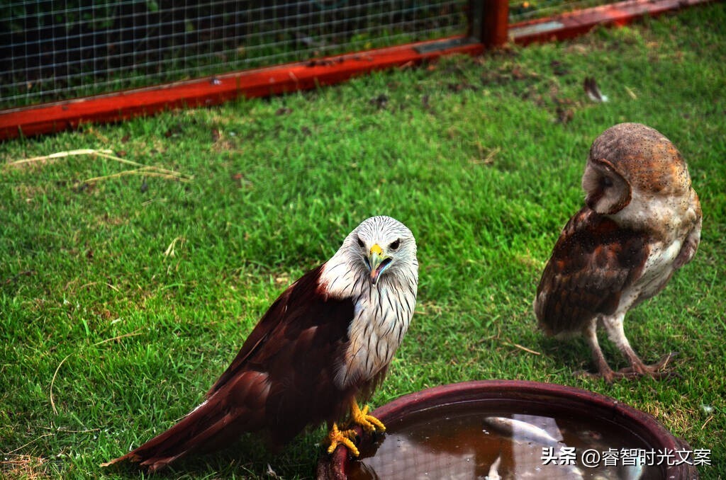自信的人永远相信自己,永远都要做自信的人
