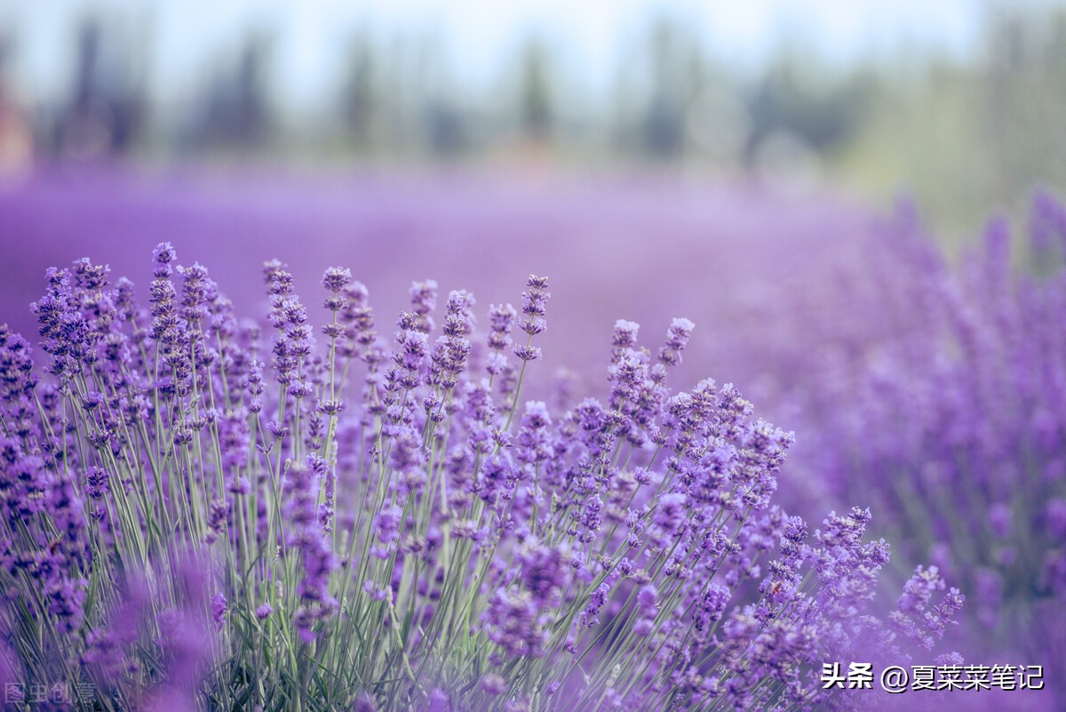 上班族可做哪些副业赚钱快,上班族做副业适合干点什么