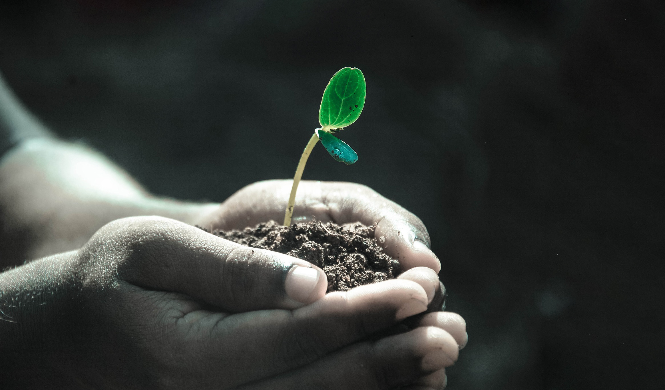 超百亿资金净流入科技板块,大量资金持续涌入科技类etf