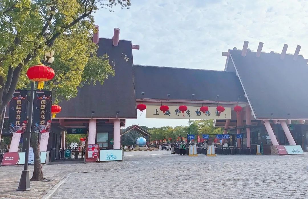 上海野生动物园建议周六周天去吗,上海野生动物园通玩一日游攻略