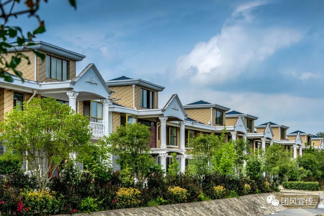 奏响新时代乡村振兴交响曲,团风县乡村振兴局项目公示