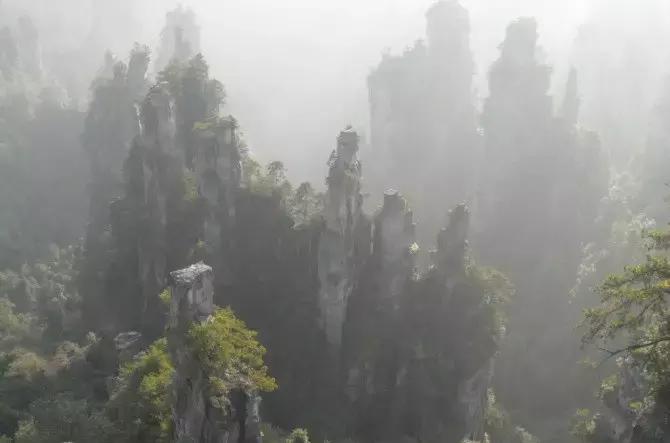 张家界旅游十大特点介绍图片简单,张家界四季图