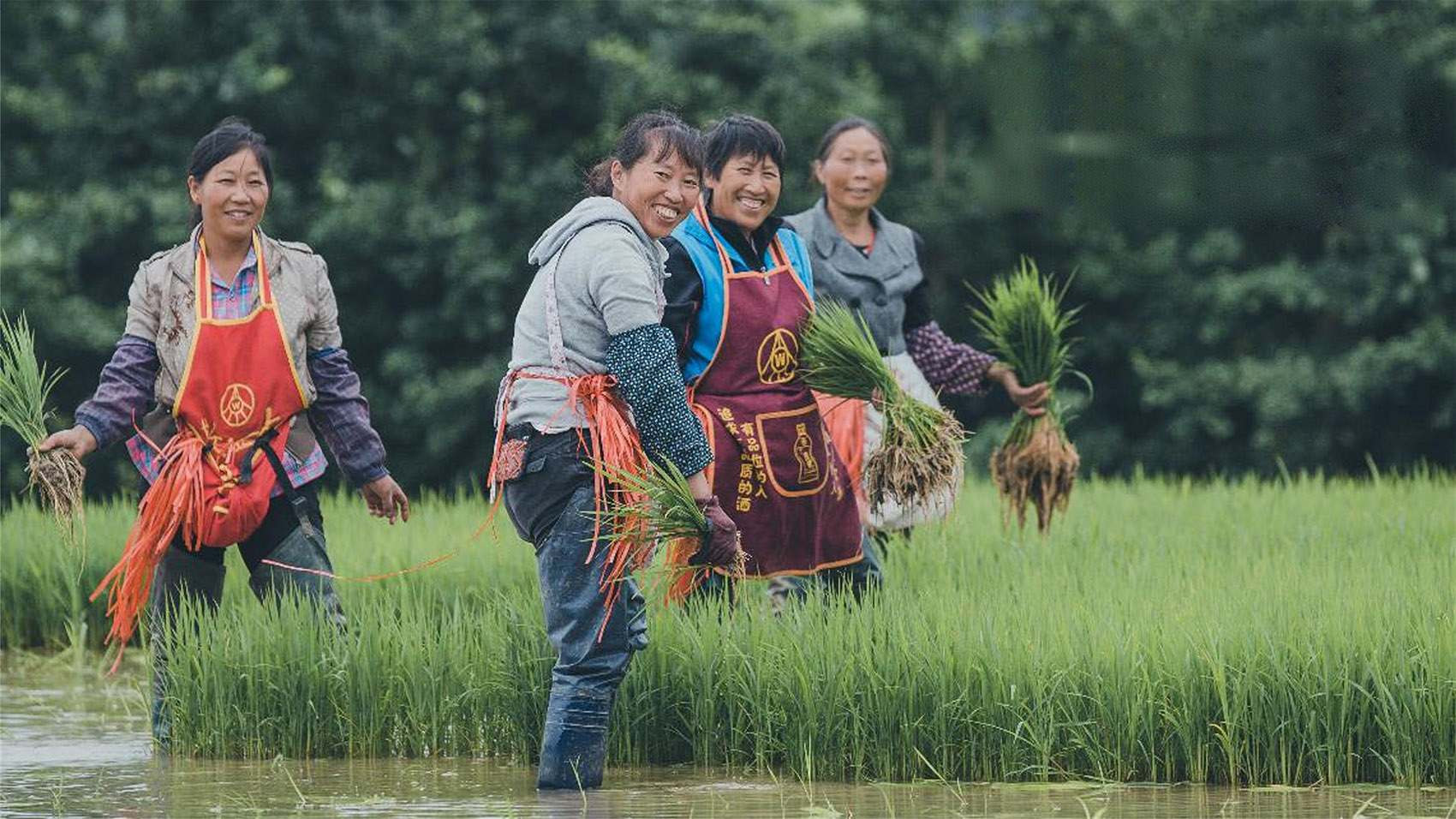 峨眉高桥小镇是哪个公司开发的,峨眉高桥小镇门票