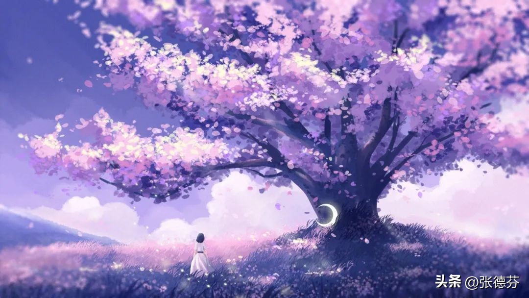 二婚能不能幸福,主要看这3点