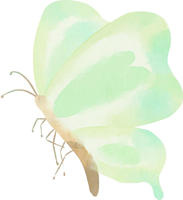 村子集市,普法强基送法进集市