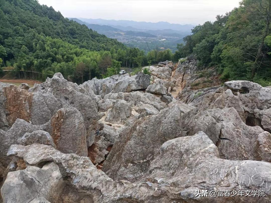 金满红的作用,金满鸿金戈铁马