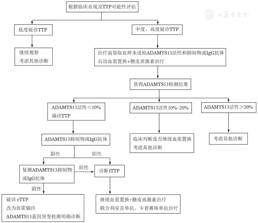 血栓性血小板减少性紫癜治疗指南,血栓性血小板减少性紫癜指南共识