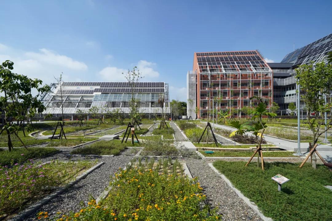 零碳排、零废弃、以租代售的模块化新型小区，还能种菜养鱼