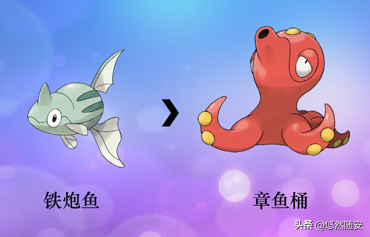 宝可梦伊布全部进化形态,宝可梦剑盾泪眼蜥进化形态