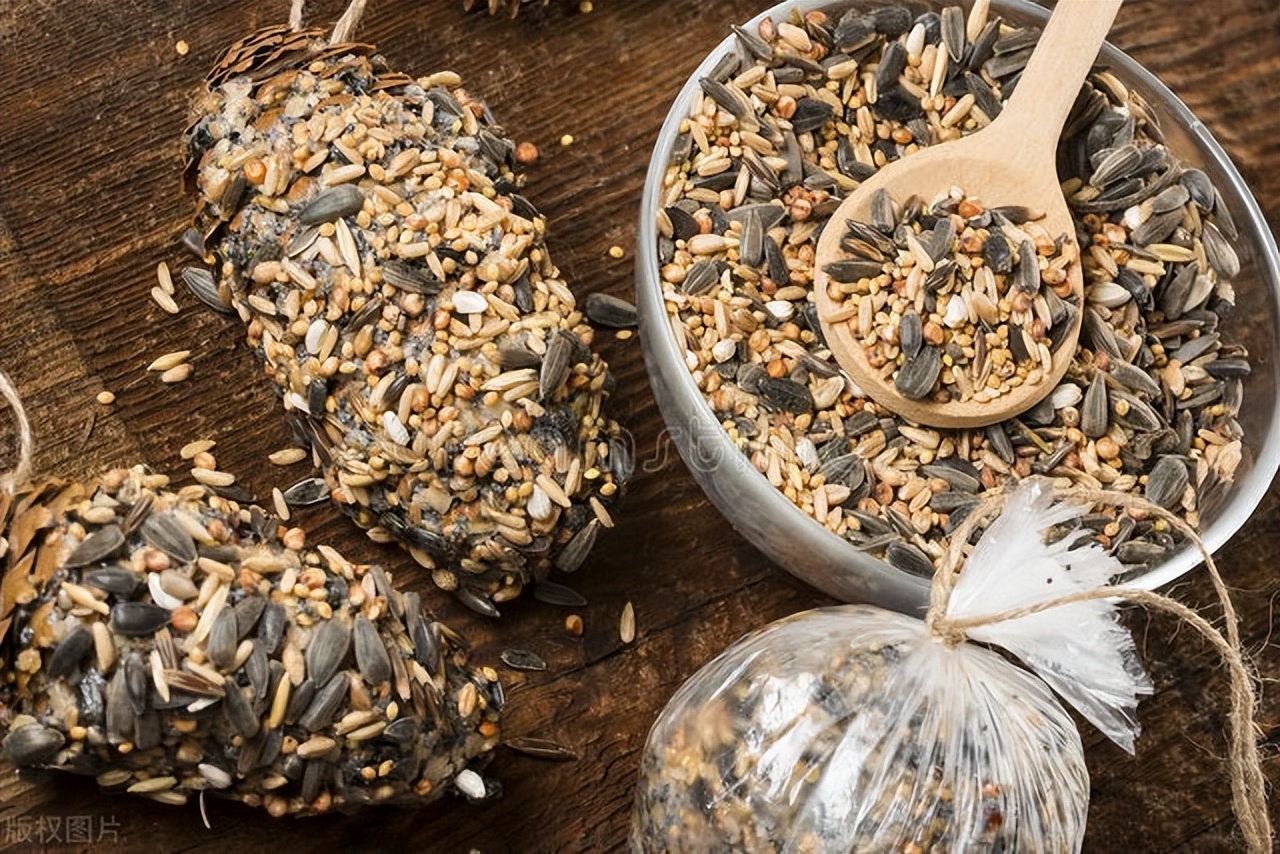 葵花籽油精炼成套机械设备价格,葵花籽油炼油设备