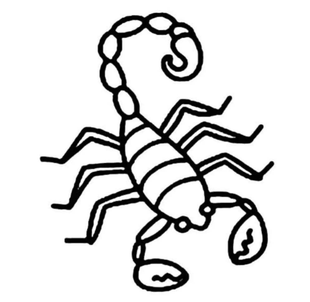 蝎子扎堆蜇人吗,东北有野生蝎子蜇人有生命危险吗