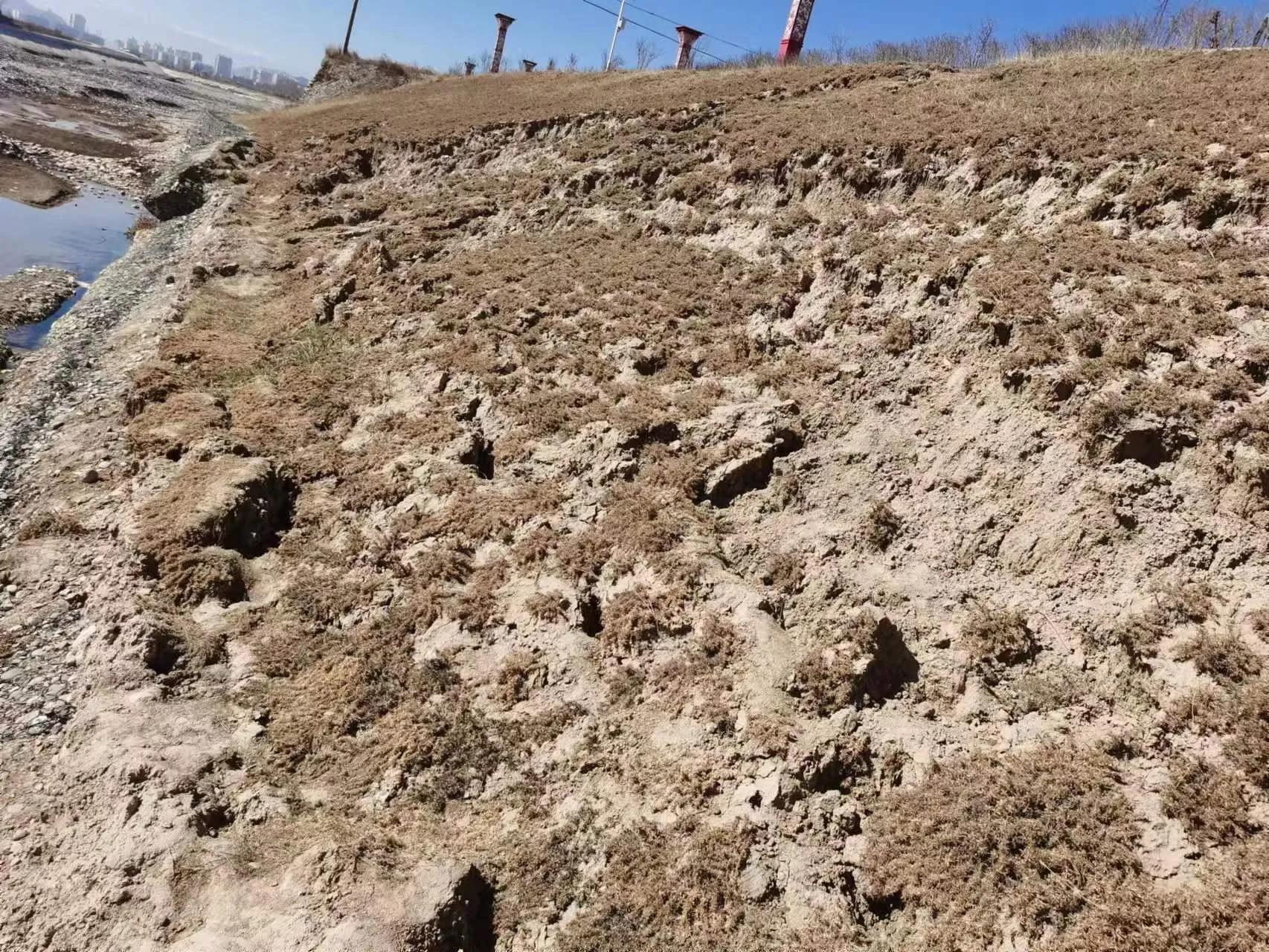 三抓三促行动下一步工作重点,三抓三促行动工作进展情况