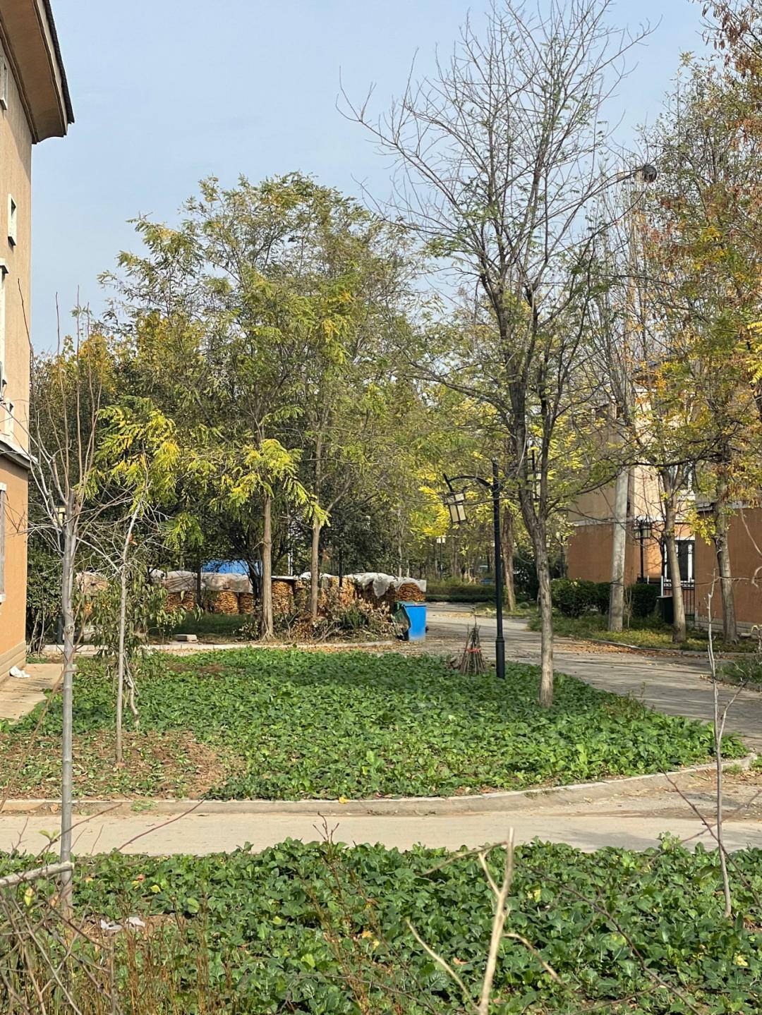 董董骑行山东,懂懂骑山东