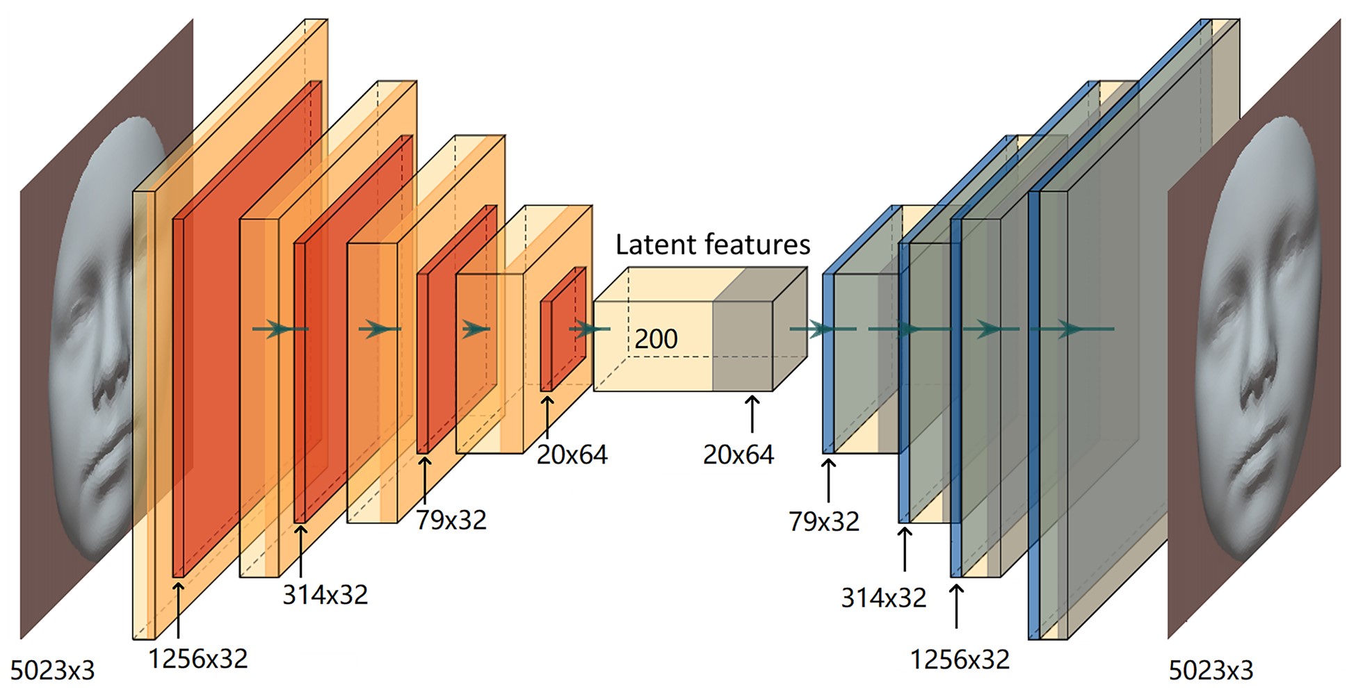 怀孕前三个月喝酒对胎儿有影响吗,怀孕初期喝酒胎儿不健康几率大吗
