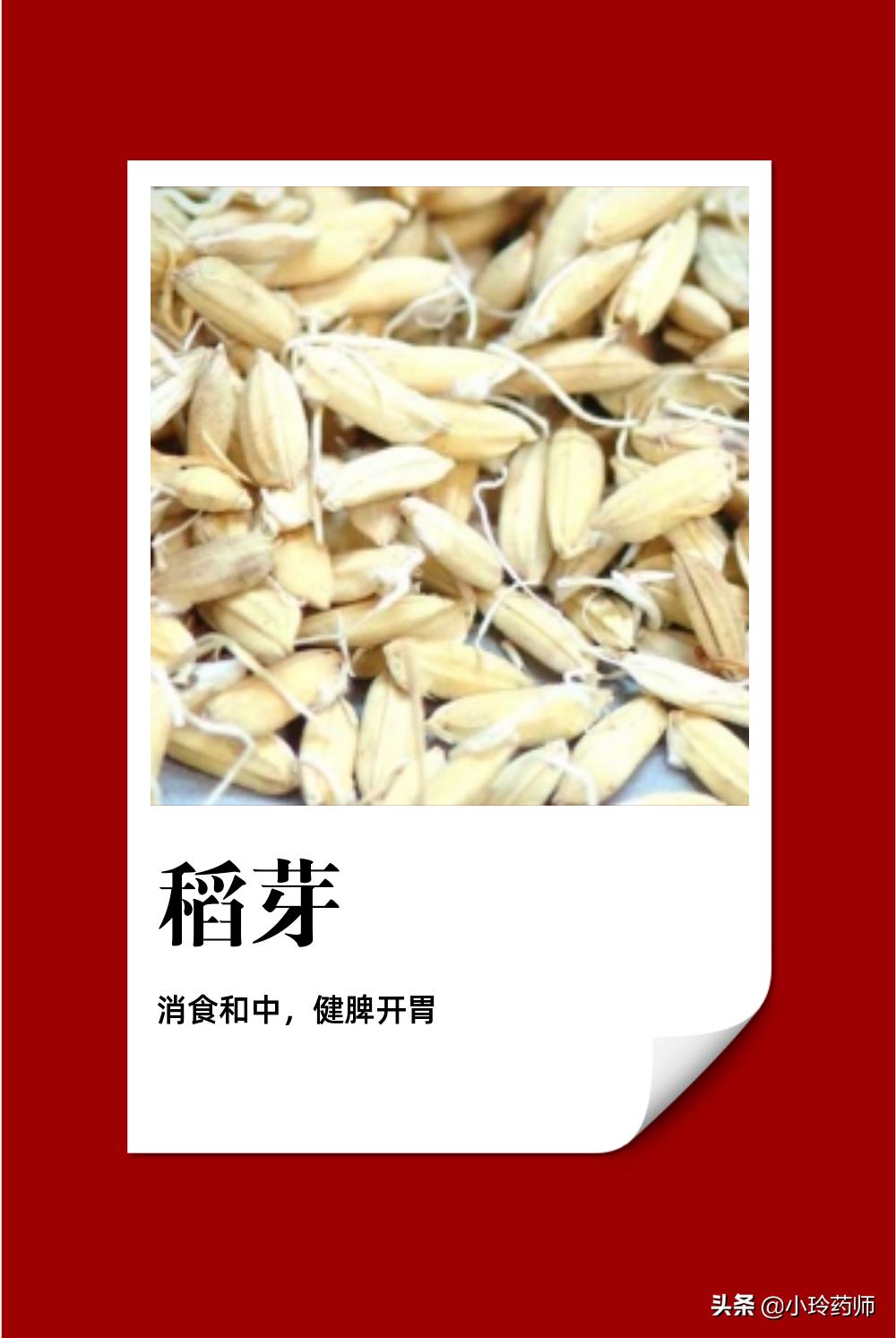 中医消食食物,消食中药药膳