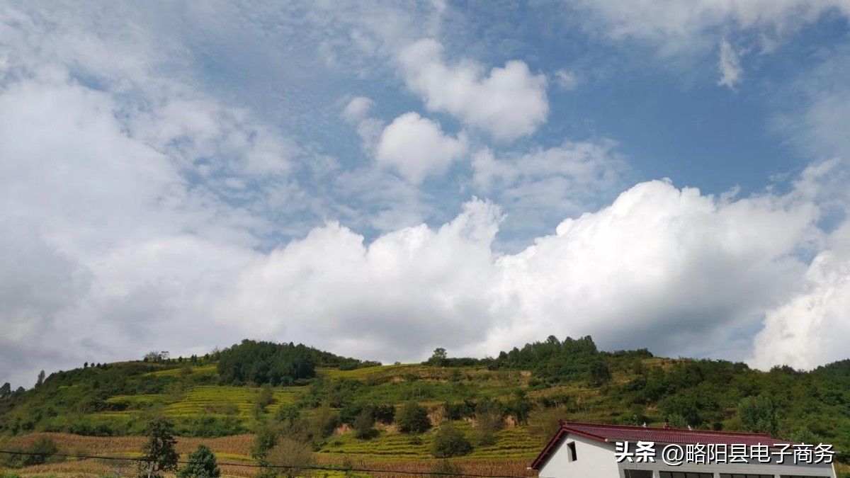 略阳任学波,略阳白水江林家山任学波