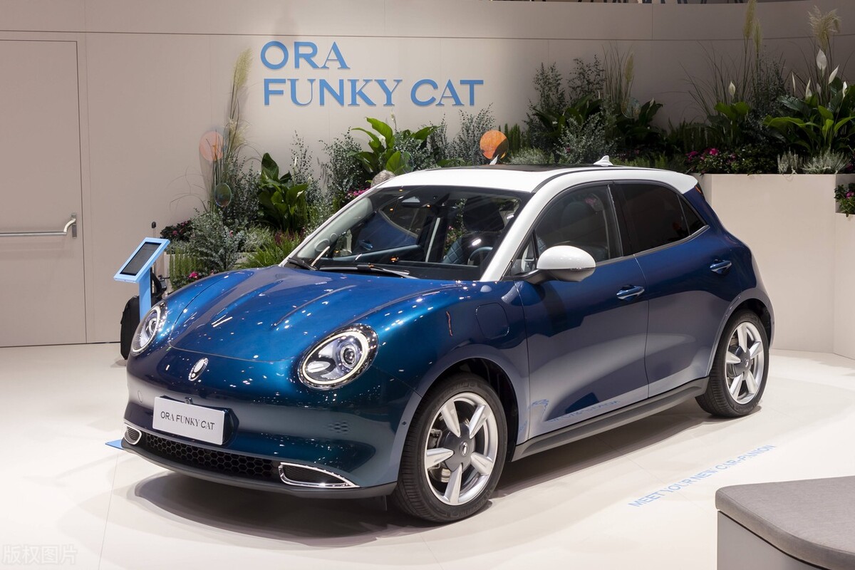 长城汽车欧拉好猫2020款基本型,长城欧拉好猫时尚中现经典光芒