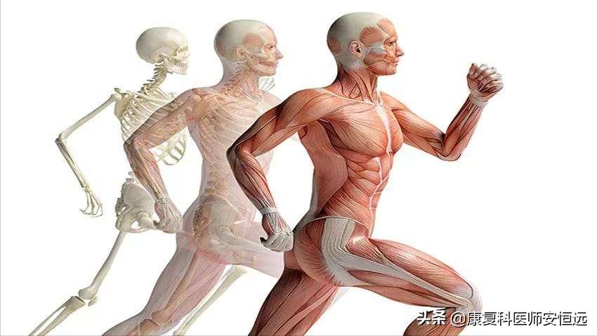 经常拉筋压腿危害,老人经常压腿拉筋对骨骼健康好吗