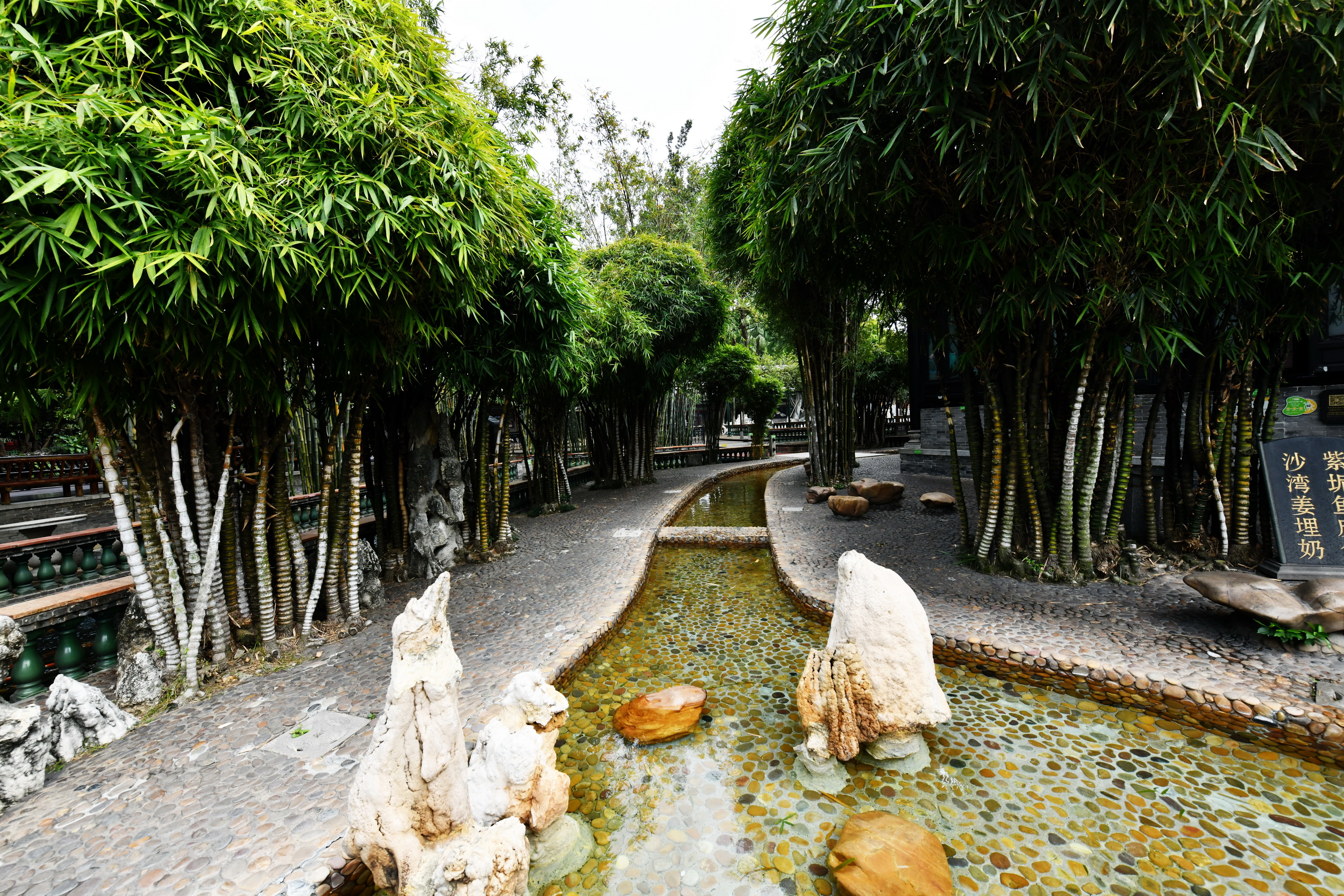 广州市番禺区宝墨园攻略,广州宝墨园景观