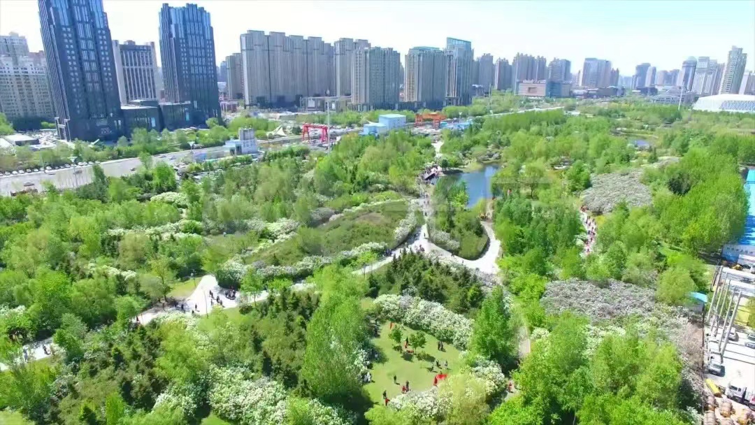 键盘侠都会说什么话,键盘侠说过最霸气的话