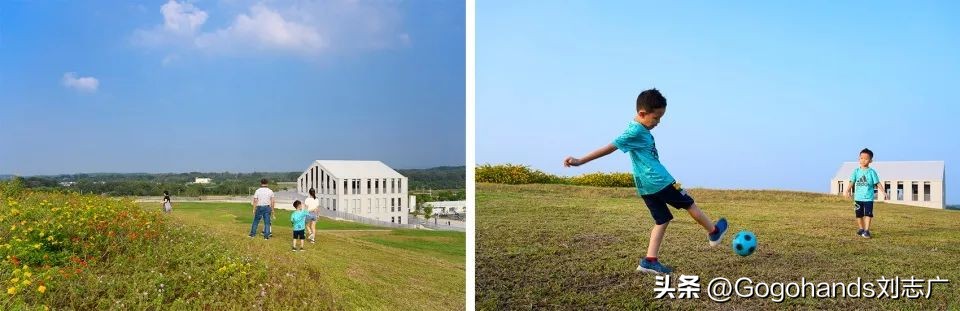 台湾新光华市场,水果市场台湾凤梨