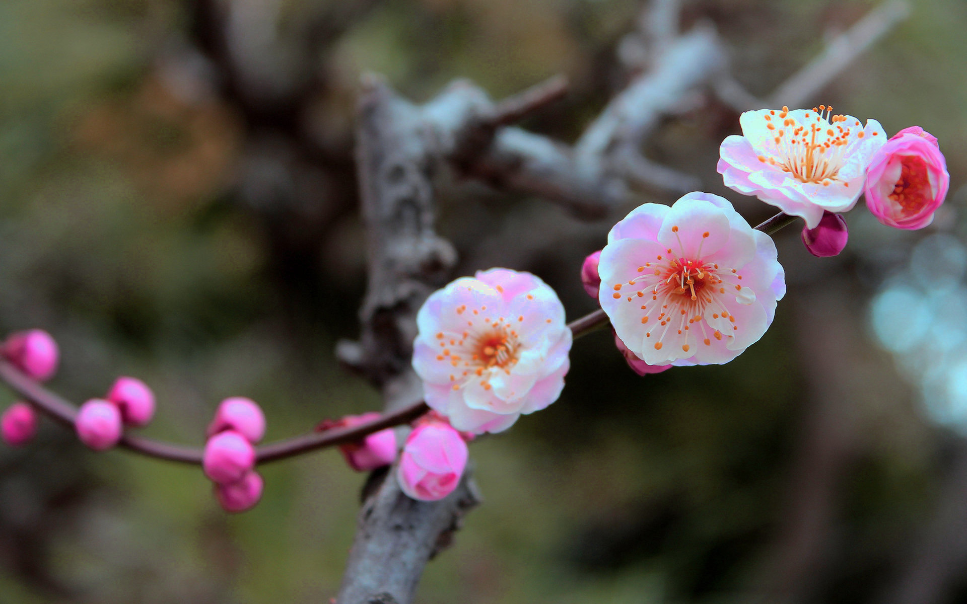 人过五十以后还需要拼命挣钱吗,人过五十再善良也不要管三种人