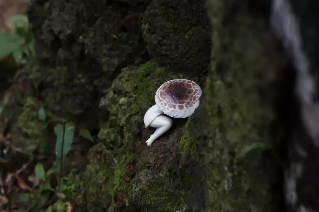 日本人发明的手机支架,日本戒手机瘾神器