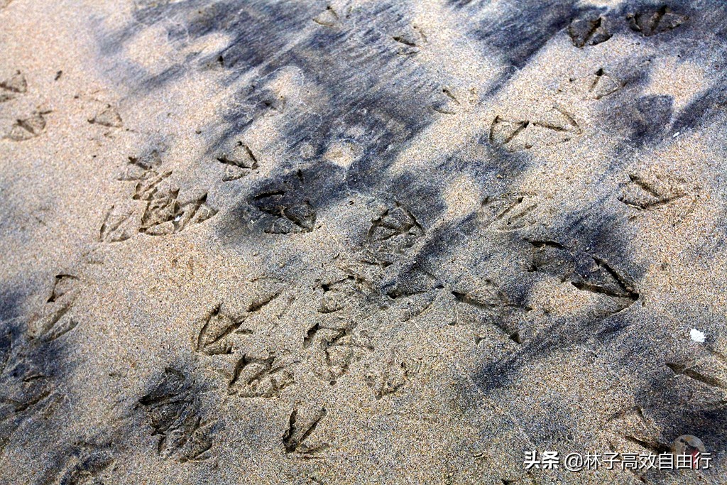 俄罗斯一月追极光攻略,俄罗斯追极光的地方