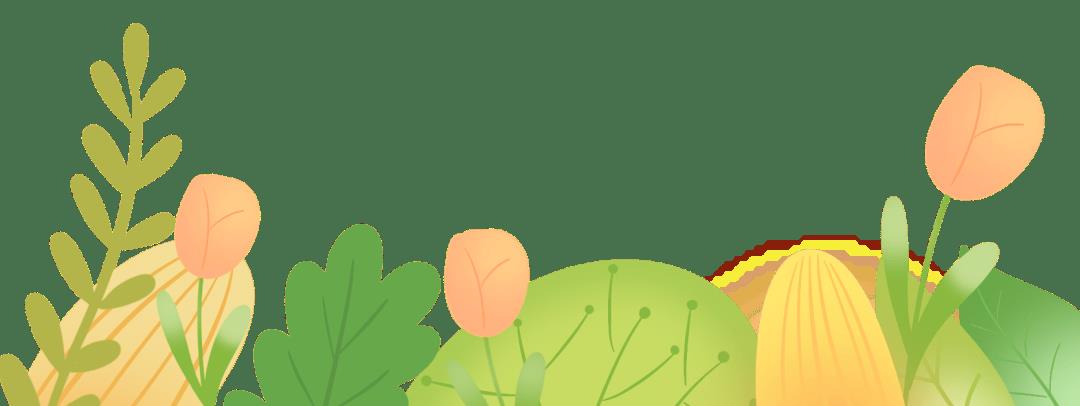 宝宝学走路有什么方法,宝宝学走路的方法有哪些