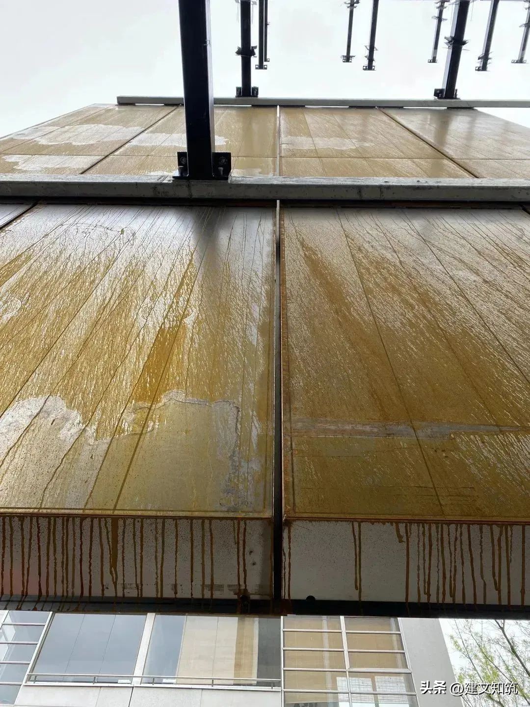 鑺叞璧皵杈涘熀鑸炶箞,鑺叞璧皵杈涘熀鏂囧寲寤虹瓚