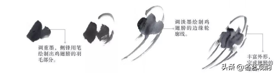 十二生肖鸡画法步骤,鸡的画法简笔画步骤