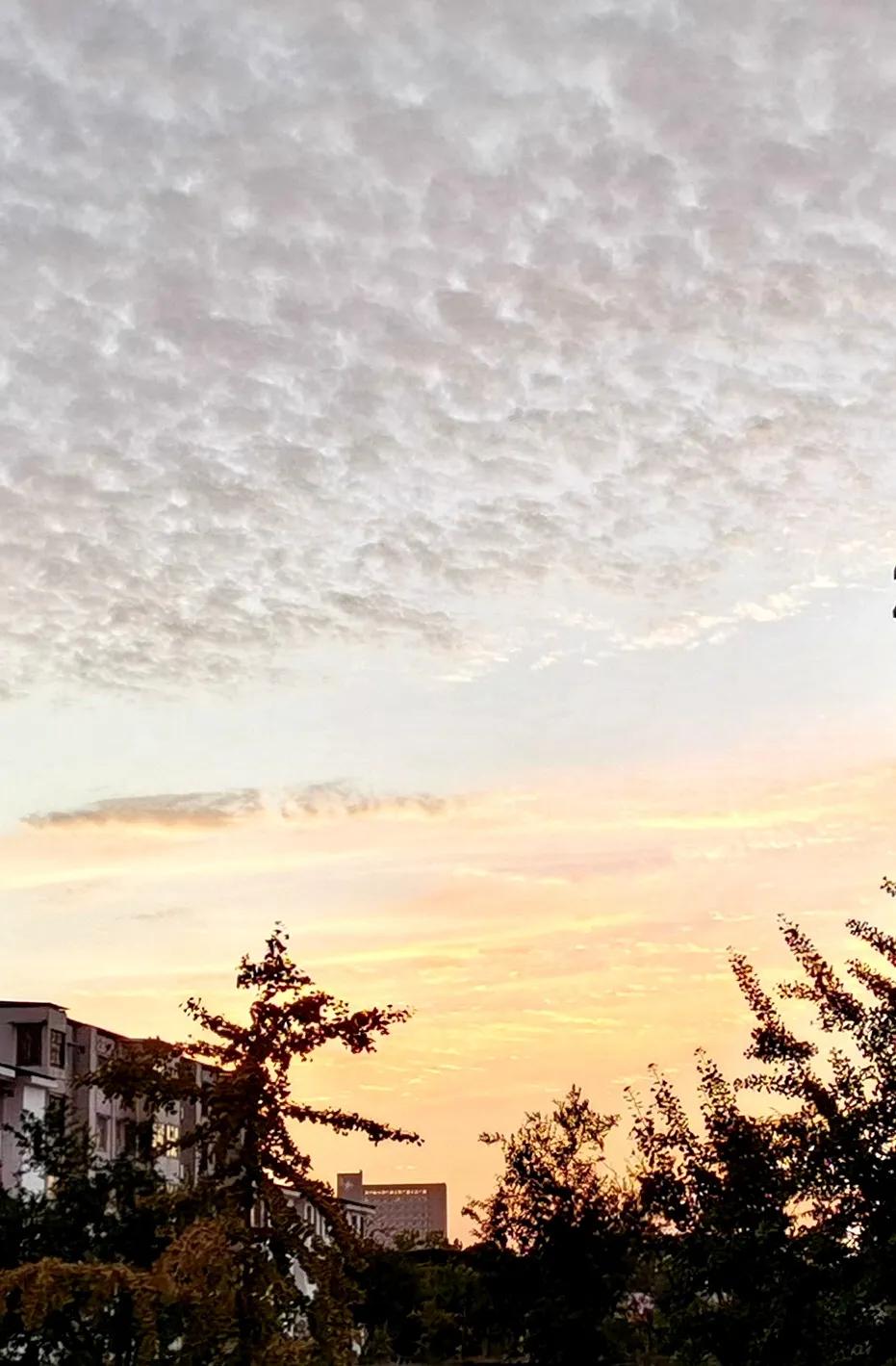 正能量幽默笑话励志搞笑段子,幽默笑话搞笑段子图片带字的