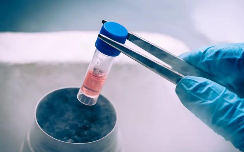 吃抗癫痫药影响智力吗,抗癫痫药物易导致肝损害的药物