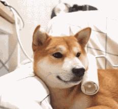 中国人下南洋如何白手起家,白手起家的人特征