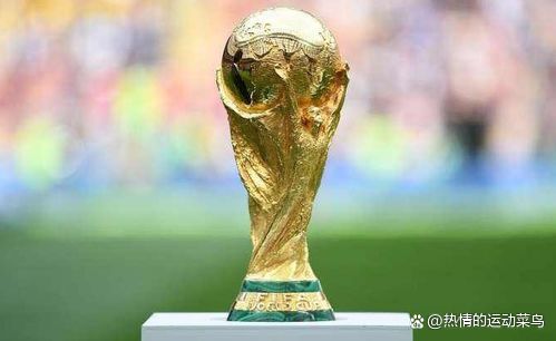 足球世界杯几年一届,世界杯哪一届最精彩