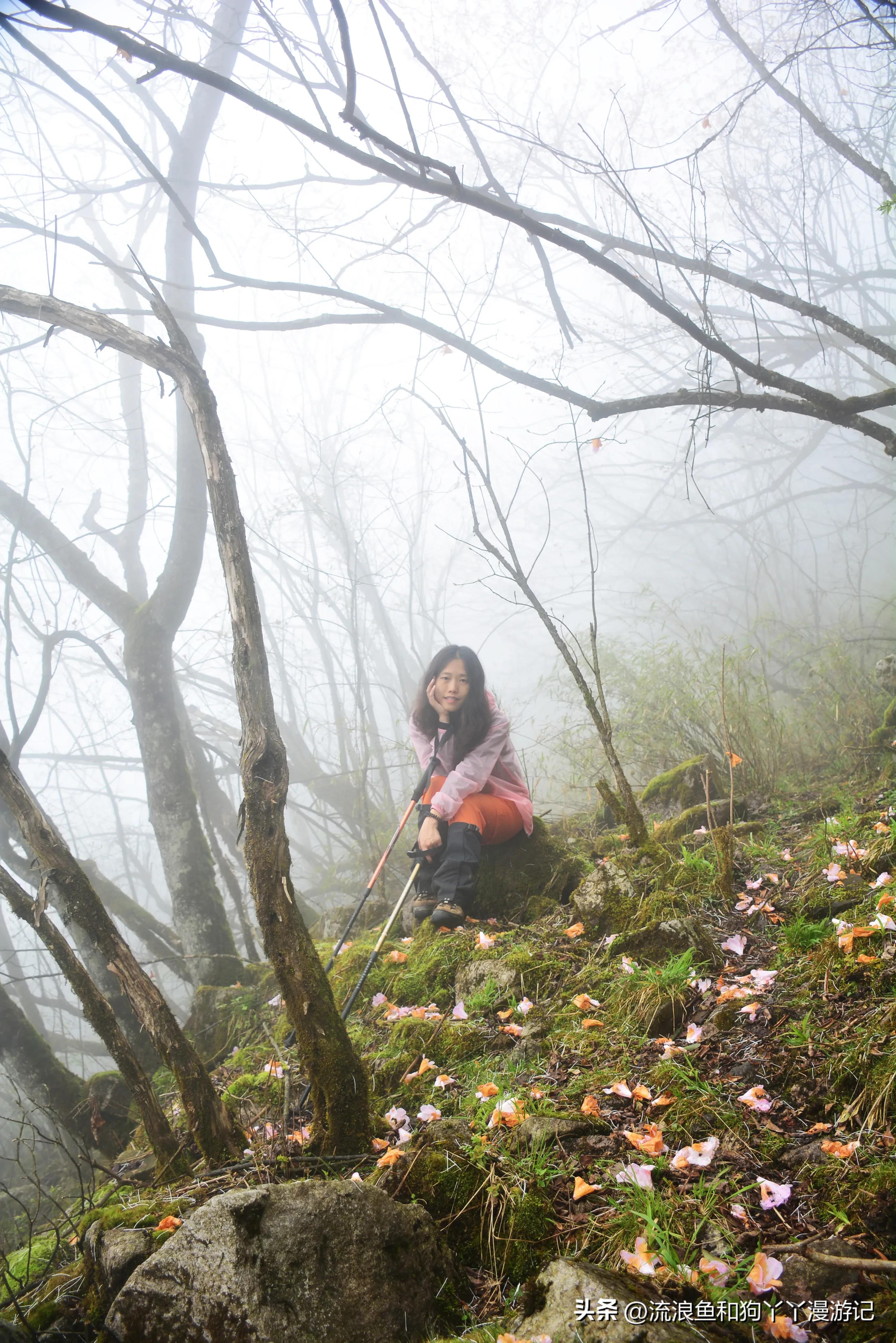 四月份成都近郊一日游好去处,2022成都近郊看雪一日游最佳去处