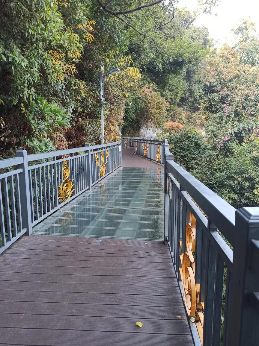 白云山适合徒步吗,一路徒步上白云山