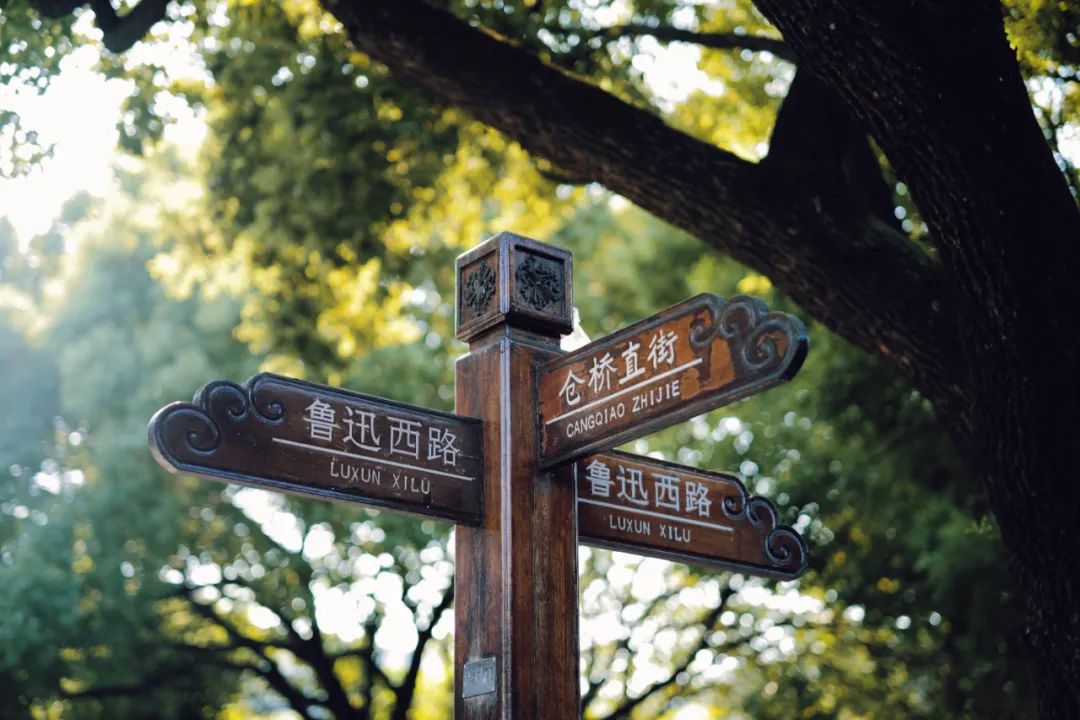 火热的周边游喂饱了本地生活,划算的周边游